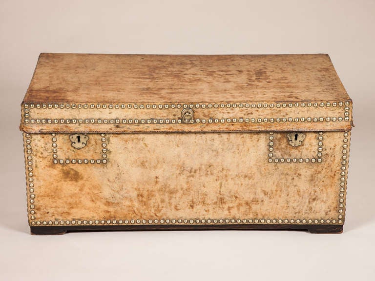 A 19th century faded hide covered and studded camphorwood trunk with two brass carrying handles.
