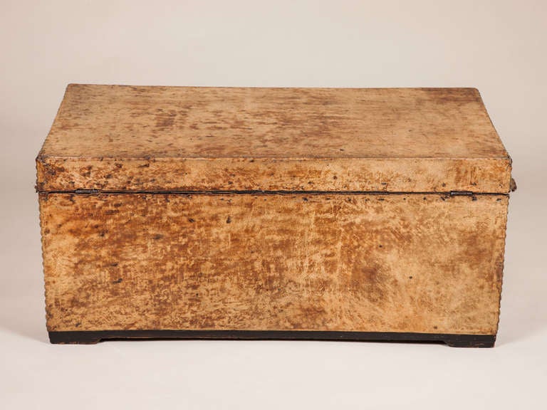 Faded Hide Trunk In Fair Condition In London, GB