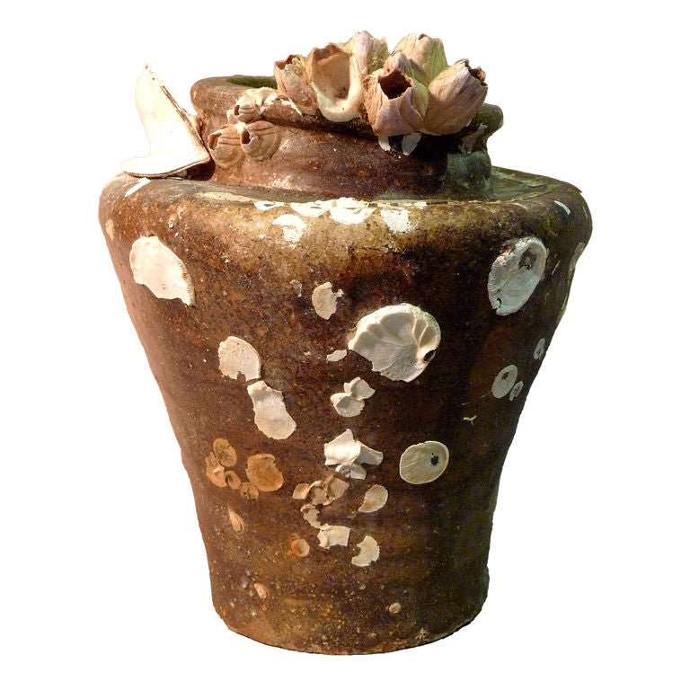 Small sea shell encrusted ceramic jars at 1stDibs