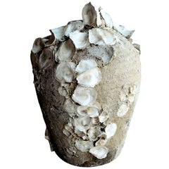 Large ship-wreck jar covered with oyster shells