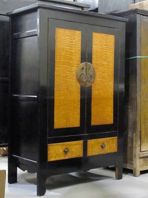 Chinese Burl Wood Panel Armoire For Sale