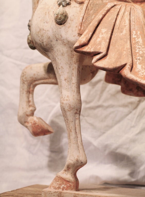 Important pair of ancient Chinese clay horses from Tang Dynasty 4