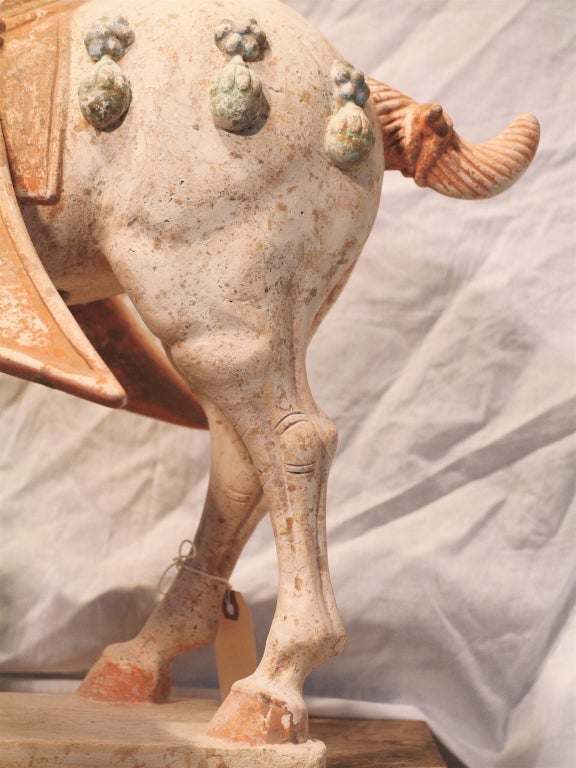 Important pair of ancient Chinese clay horses from Tang Dynasty 5