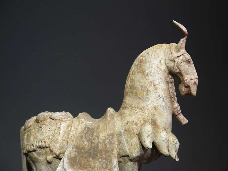 Chinese Fine Terracotta Horse from the Northern Wei Period, China