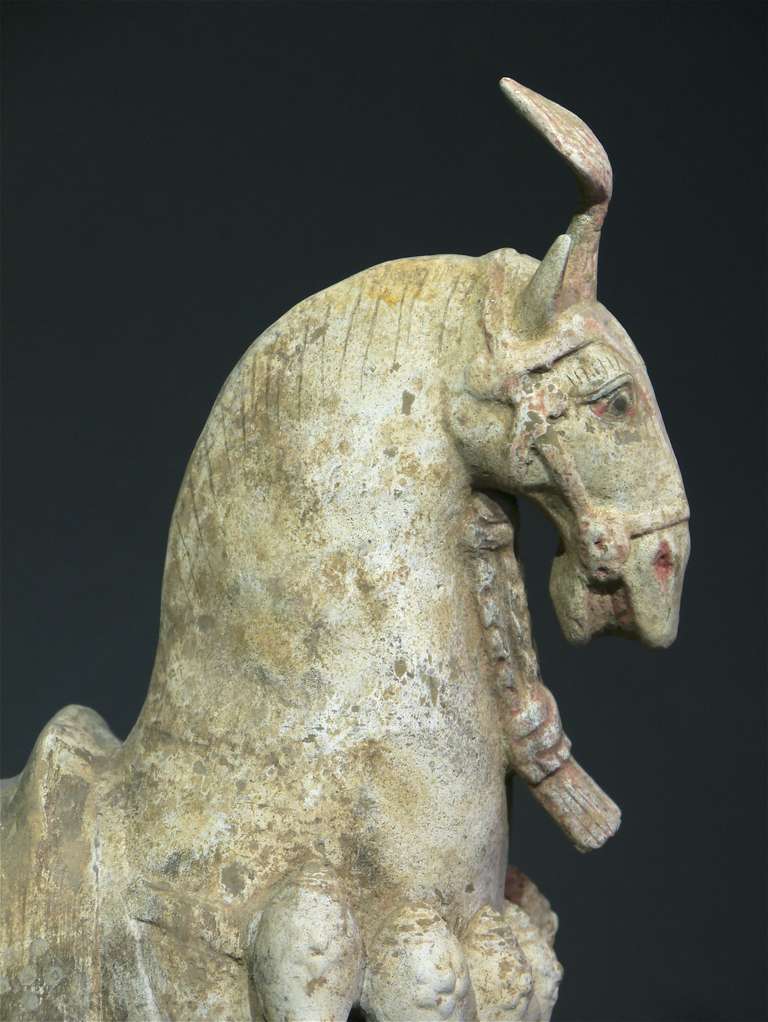 Fine Terracotta Horse from the Northern Wei Period, China In Excellent Condition In Westport, CT