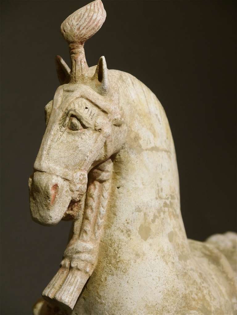 18th Century and Earlier Fine Terracotta Horse from the Northern Wei Period, China