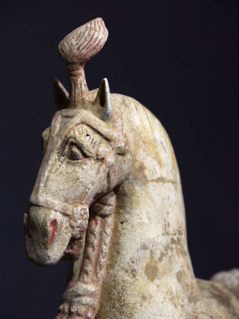 Clay Fine Terracotta Horse from the Northern Wei Period, China