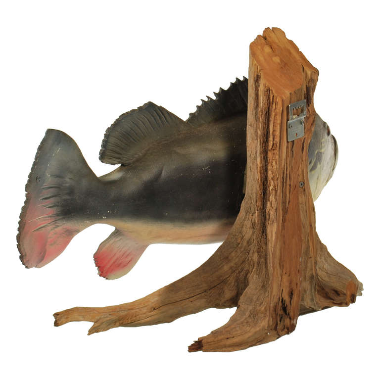 mounted bass for sale