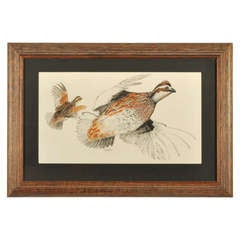 Vintage Quail in Flight Signed Original by Jack Unruh