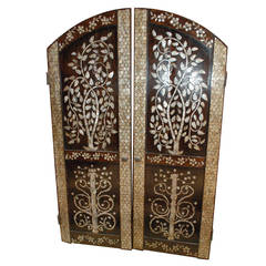 Pair of French Colonial Arched Doors