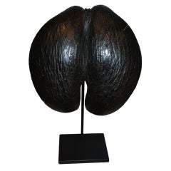 Mounted “Coco de Mer” Shaman’s Bowl, 19th Century