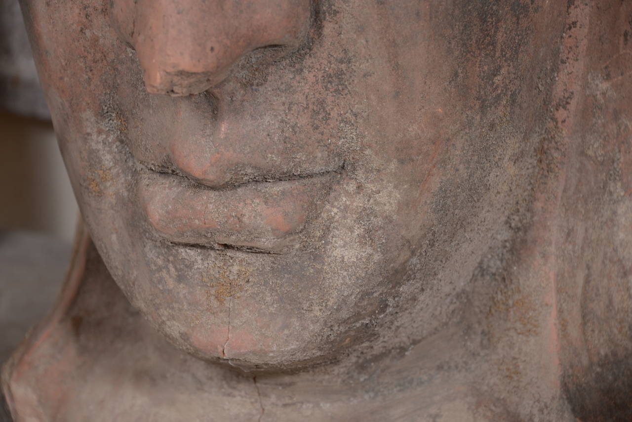 French Terra Cotta Buddha Head Sculpture, circa 1960 2