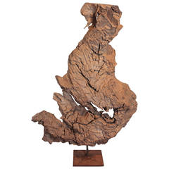 Modern Organic Abstract Wood Sculpture,  50"H