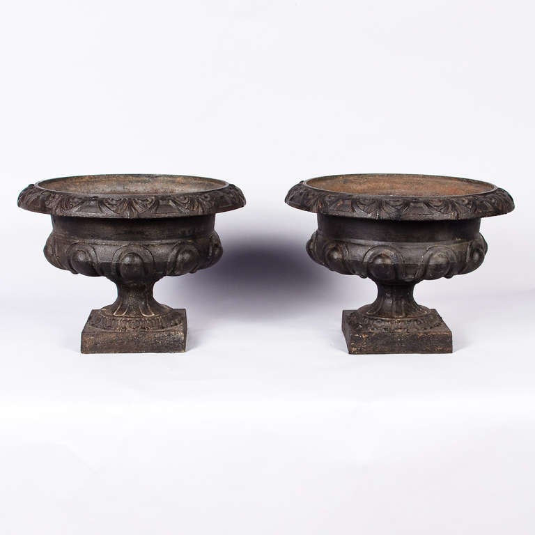 Forged Pair of French Cast Iron 