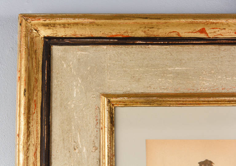 Large Painted Frame with Botanical Herbaria from France, 1930s In Excellent Condition In Austin, TX