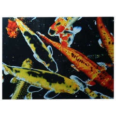 Renato Freitas, Coi, Original Photography 9