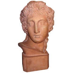 French Classical Terra Cotta Bust