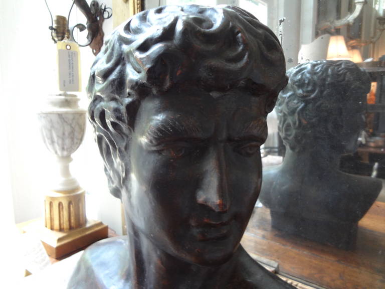 Classical Greek French Terra Cotta Bust of a Greek