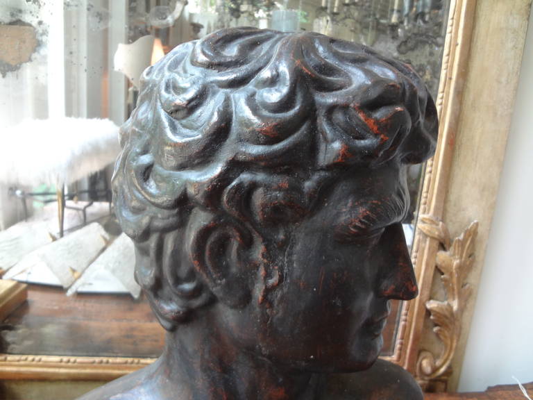 20th Century French Terra Cotta Bust of a Greek