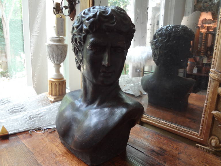 French Terra Cotta Bust of a Greek 2