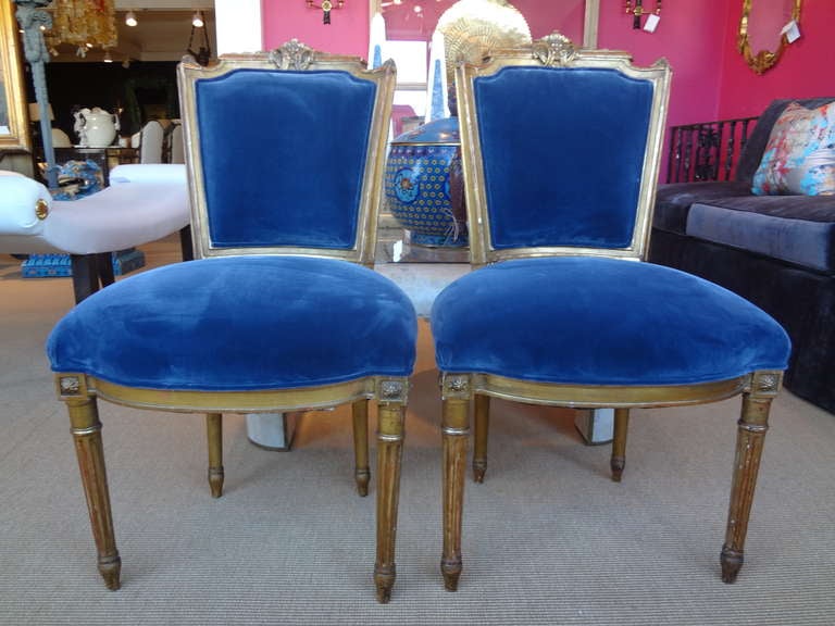 Great Pair of 19th Century French Louis XVI Style Gilt Wood Side Chairs Newly Upholstered In Velvet