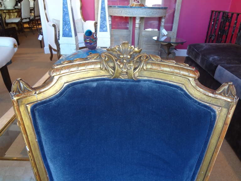 19th Century Stylish Pair of French Louis XVI Style Gilt Wood Chairs