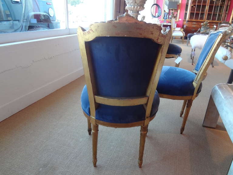 Stylish Pair of French Louis XVI Style Gilt Wood Chairs 1