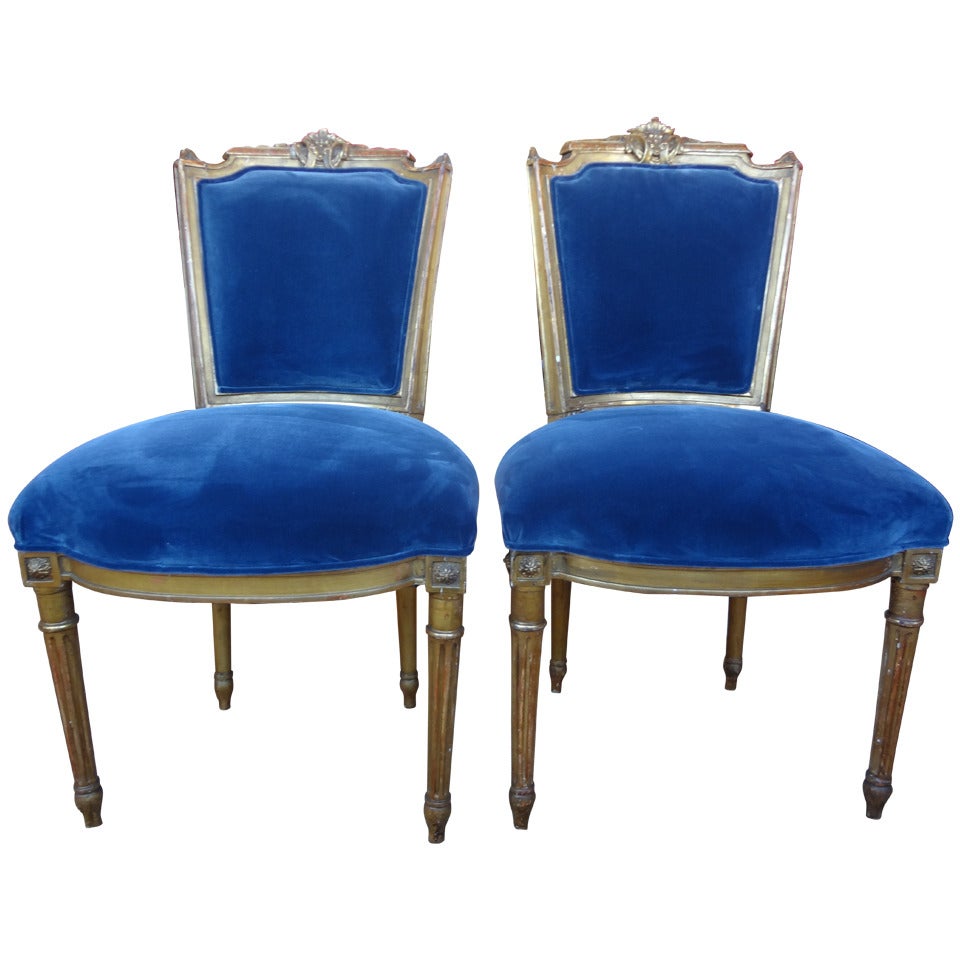 Stylish Pair of French Louis XVI Style Gilt Wood Chairs