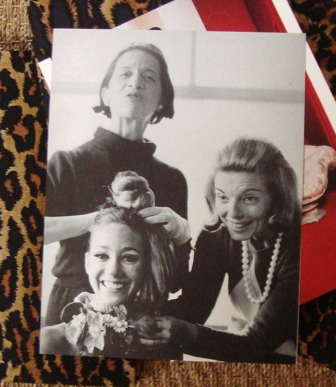 Diana Vreeland: Immoderate Style Book 1
