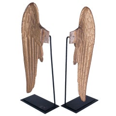Pair of Angel Wings