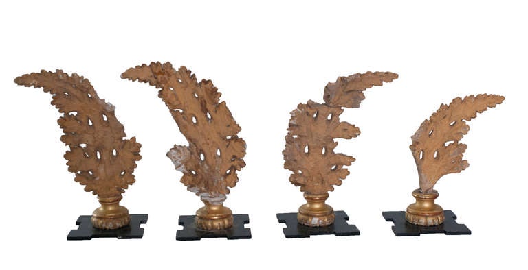 Wood Set of Four Gilt Architectural Elements in the Form Beaded Acanthus Leave