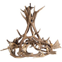 Horn Chandelier 5
