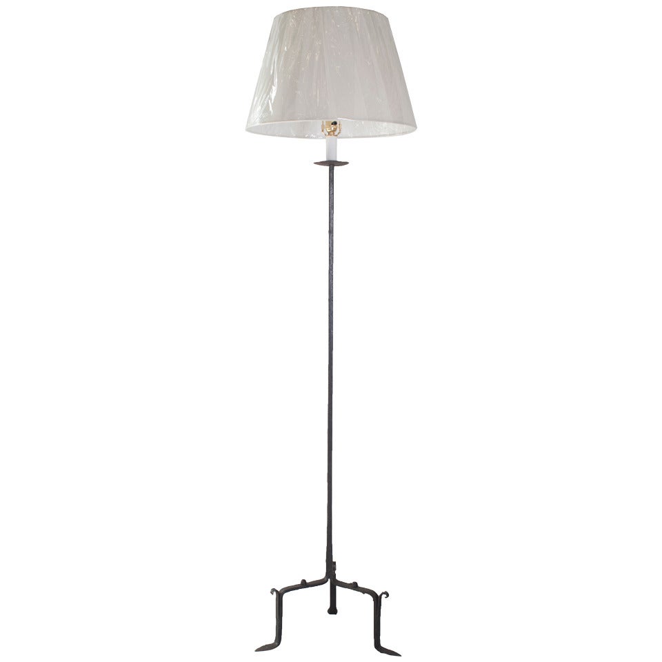 A Single Cast Iron Floor Lamp