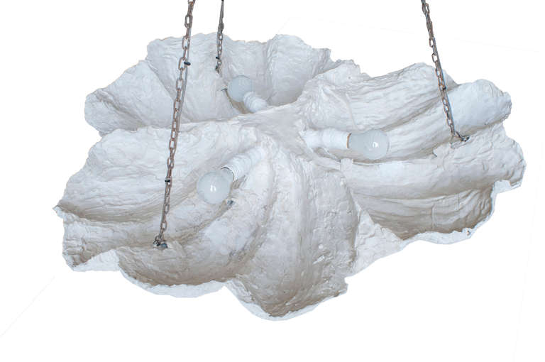 Shell chandelier. The chain can be adjusted for height.