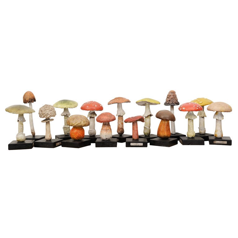 Painted Wood/Ceramic Wild Mushrooms priced individually