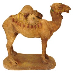 Painted Camel