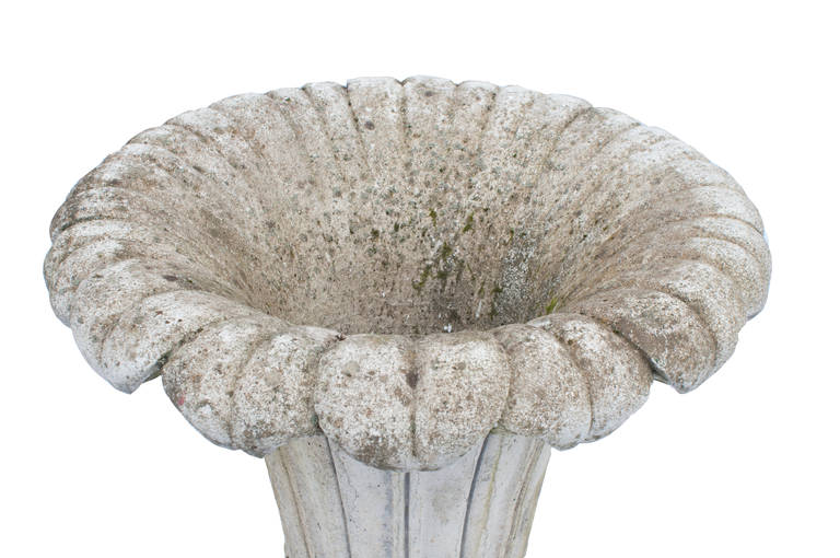 French Cement Planter in the Form of a Lily Flower