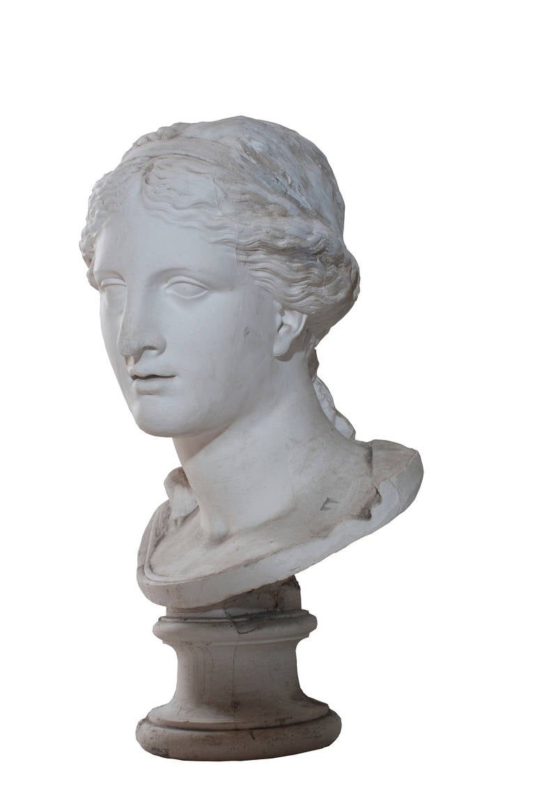 A plaster bust of Venus de Milo