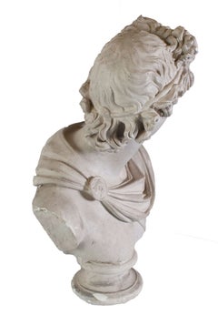 Plaster Head of Apollo