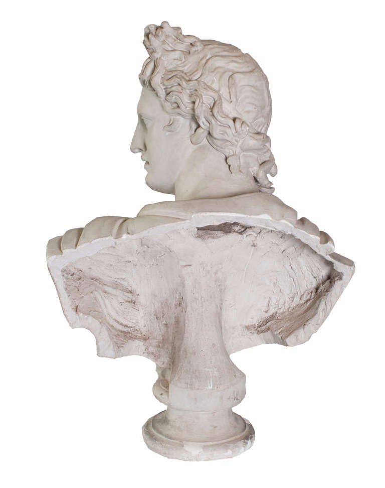 Plaster Head of Apollo - a copy of Apollo Belvedere.  The original marble bust is in The Louvre in Paris.