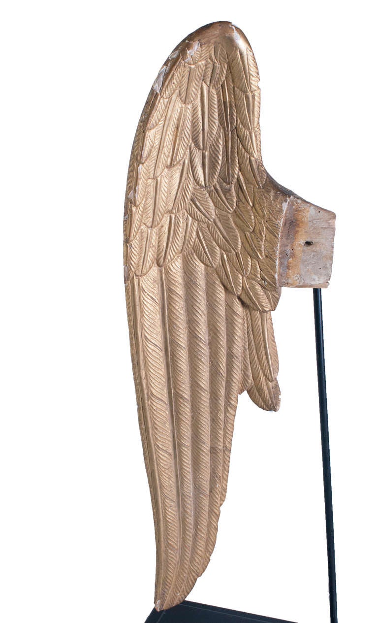 Pair of Angel Wings
