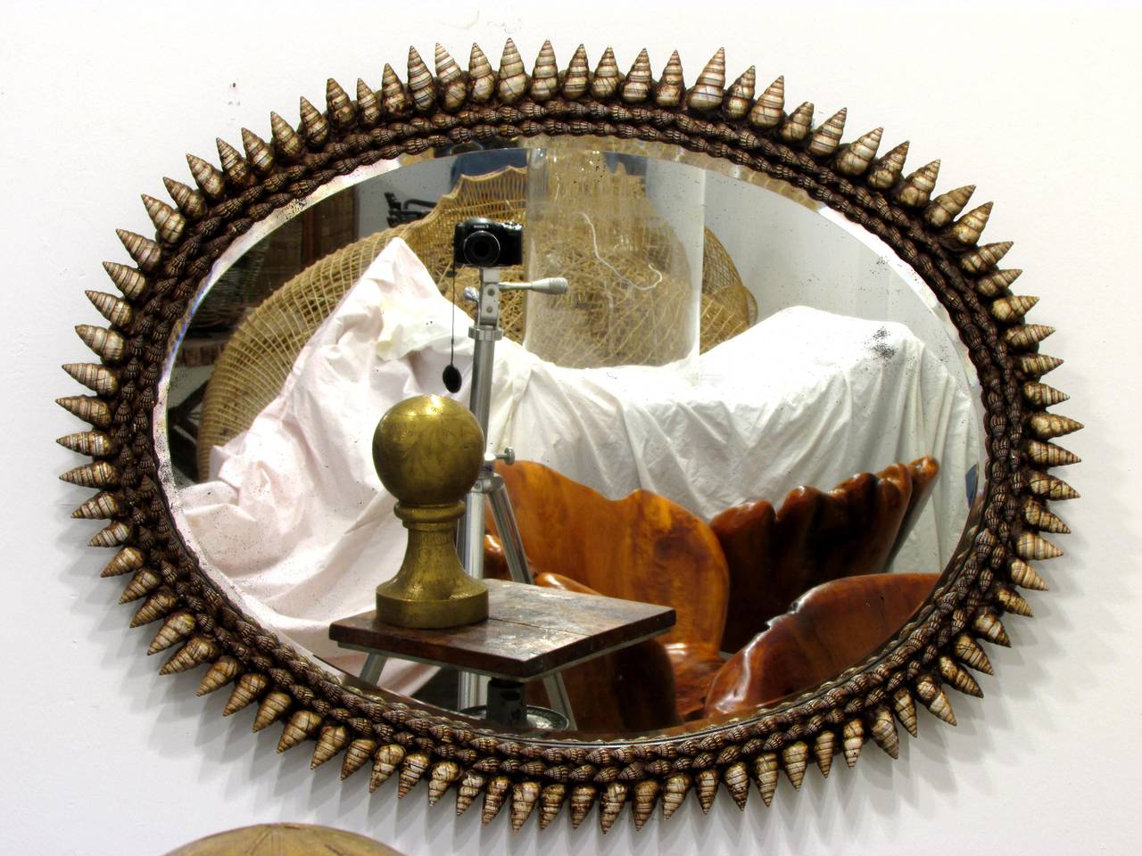 Seashell Mirror by Anthony Redmile