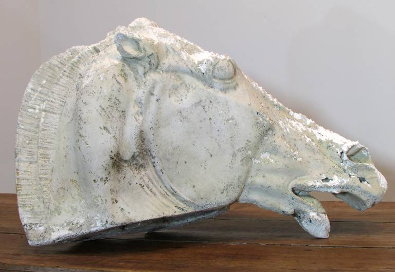Beautifully weathered plaster horse head casting from the Elgin Marbles Parthenon horse of Selene
