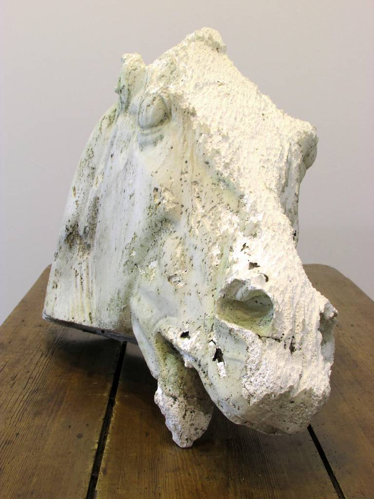Unknown Weathered Plaster Horse Head