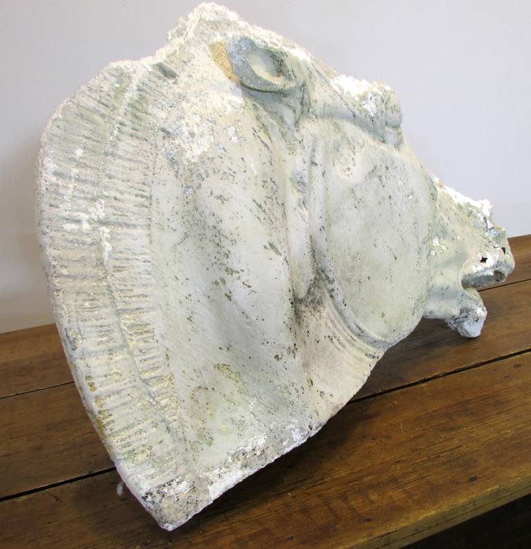 20th Century Weathered Plaster Horse Head