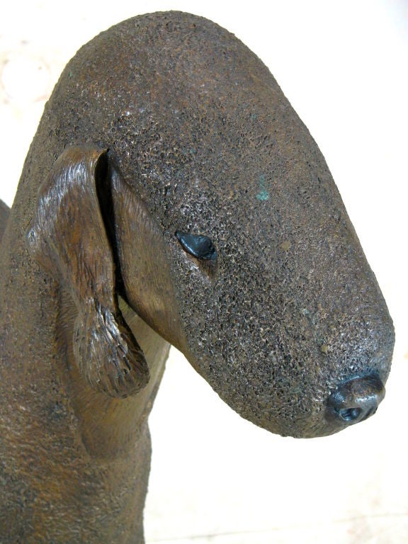 Bronze Bedlington Terrier 3