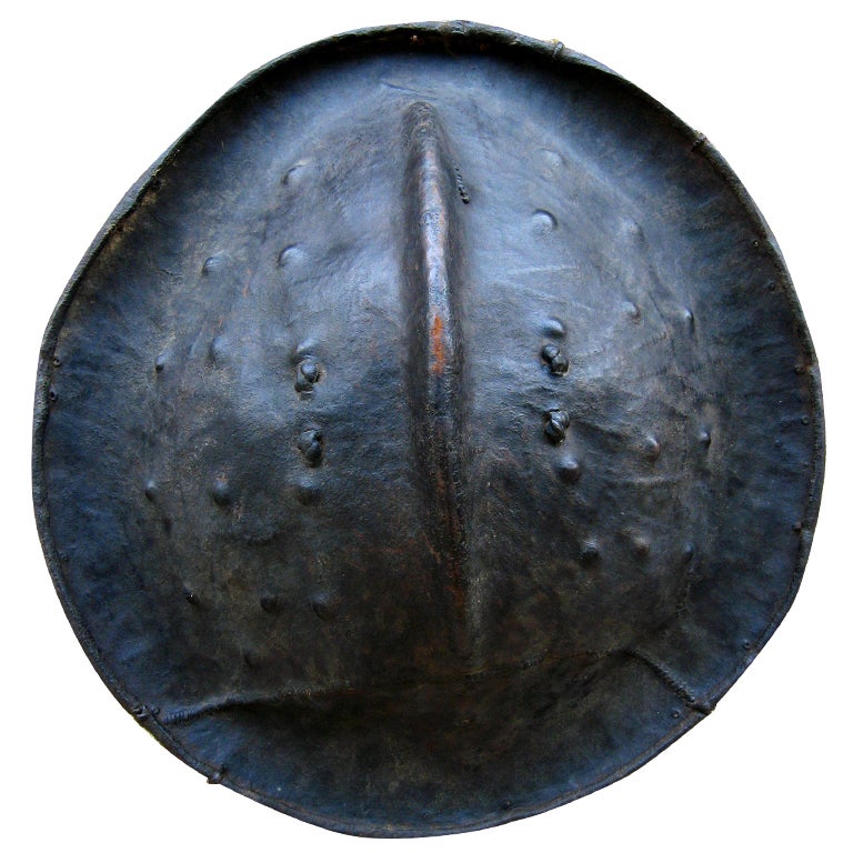Ethiopian Hippo Shield