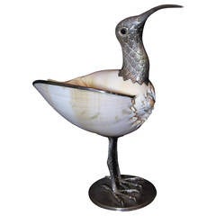 Vintage Seashell Shore Bird