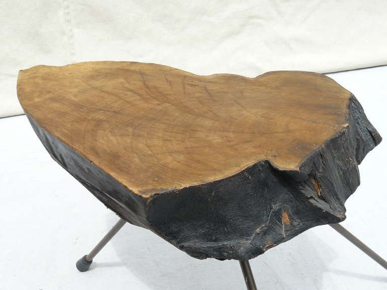 Signed Carl Aubock Black Walnut, Hewn Log Tripod Table In Excellent Condition In Kensington, MD