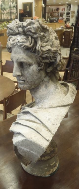 A large faux bust of Apollo Belvedere